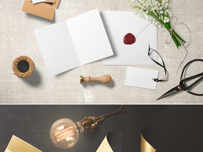 高端企業(yè)形象品牌設計VI樣機合集之三 商務VI樣機與企業(yè)形象策劃