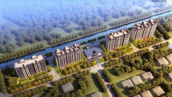 龍町企劃中心太倉雙鳳項(xiàng)目規(guī)劃發(fā)布，主推78-117㎡剛需戶型，樹立企業(yè)新形象